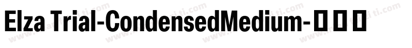 Elza Trial-CondensedMedium字体转换